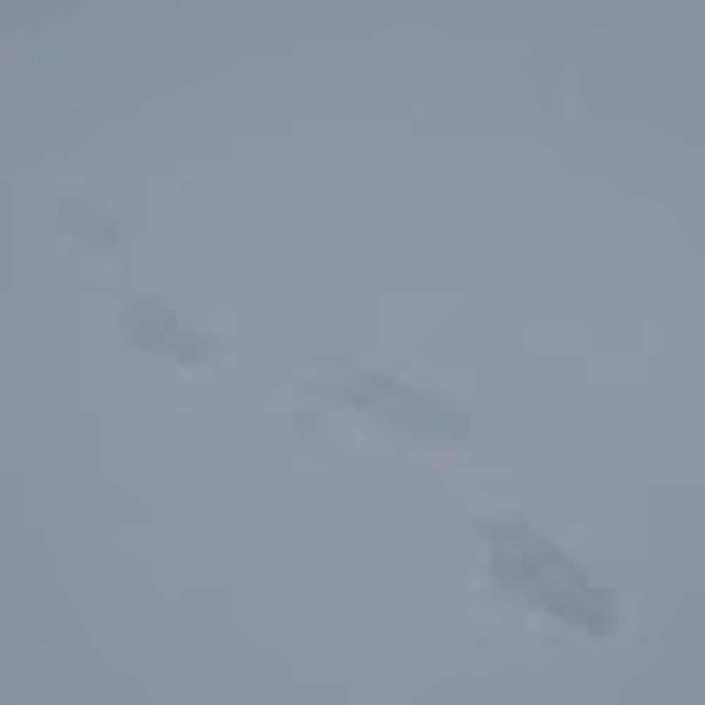 Meet your Posher, Martha